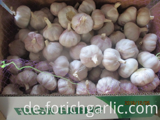 Garlic Preservation Methods